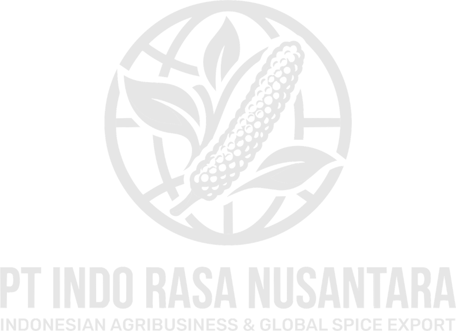 Logo IRN